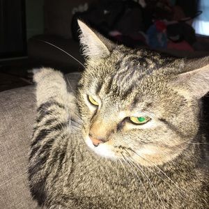 Meet your Posher, Ellen